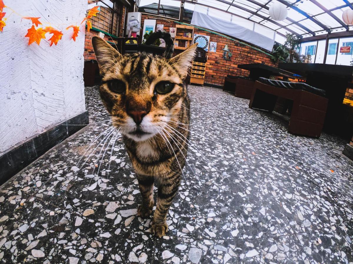 82Hostel Богота Экстерьер фото